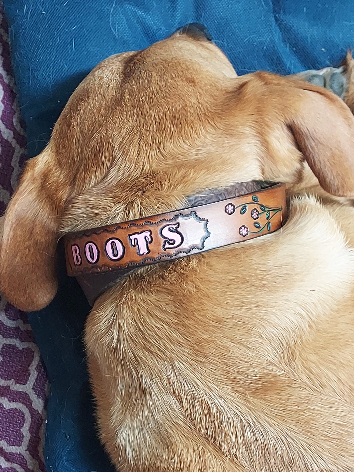 Personalized Leather Dog Collar - handmade custom leather dog collar ...
