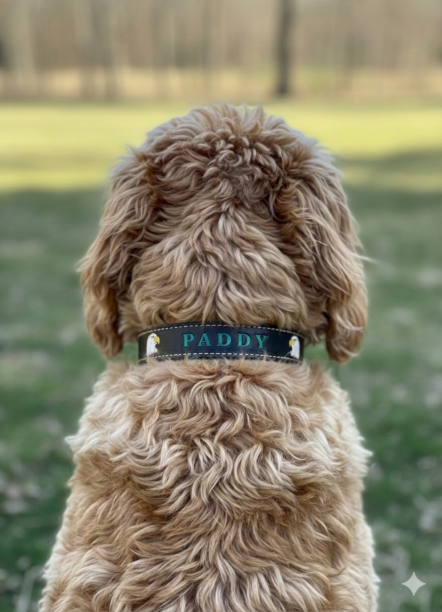 Personalized Leather Dog Collar