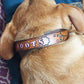 Personalized Leather Dog Collar